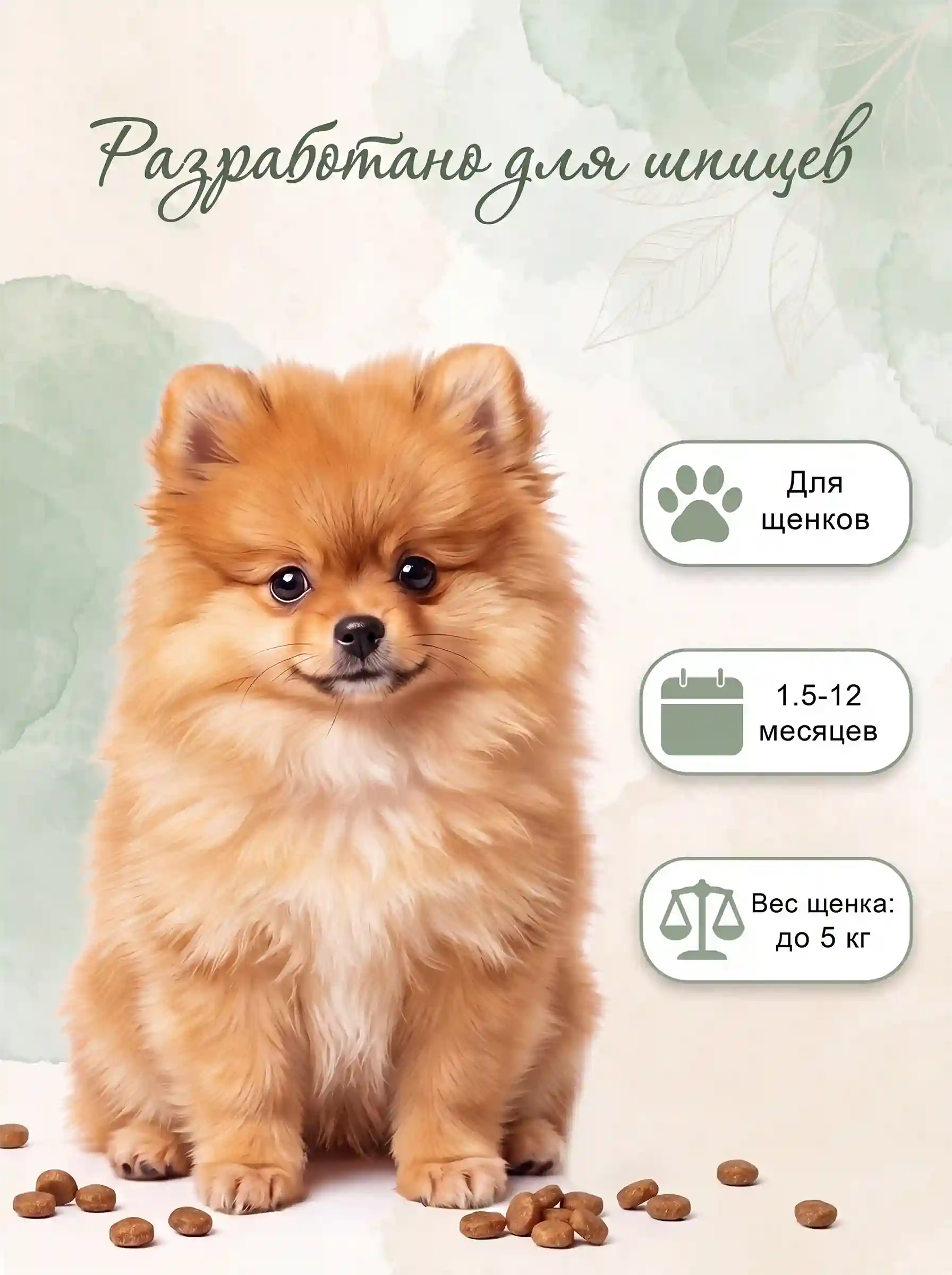 Adopta · карточка 3